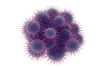 A 3D render depicting a cluster of purple spherical microorganisms, possibly viruses or bacteria, covered with numerous pink spike-like surface proteins. background removed