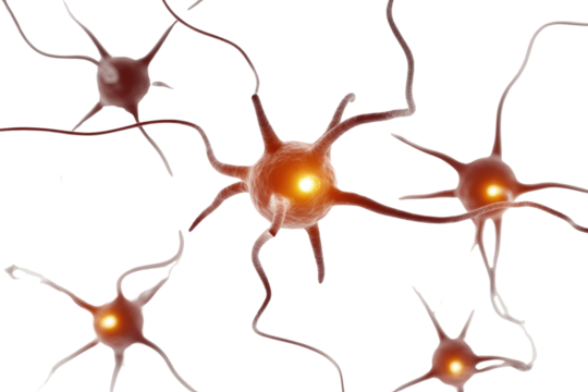 Multiple glowing 3D neurons, illustrating brain cell communication and neurological networks. Vivid representation of interconnected nervous system activity. background removed