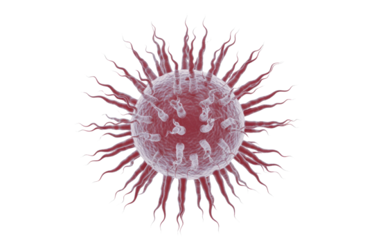 A microscopic 3D render of a red virus or bacterium with spiky tentacles and internal structures on a transparent background. background removed