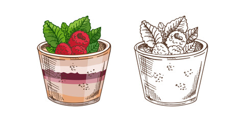 A hand-drawn vector sketch of yogurt with raspberries and mint. Yogurt cup isolated on a white background. Vintage illustration of fruit parfait. Berry dessert.