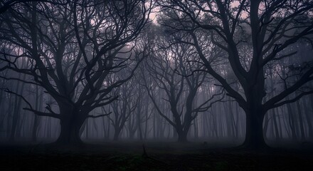 Enchanting eerie forest landscape with gnarled trees shrouded in mist, perfect for Halloween, gothic themes, and dark fantasy book covers, evoking mystery and suspense