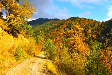 Gravel road and mountains in Karavanke, Gorenjska, Slovenia with the trees in yellow, orange and red autumn foliage
