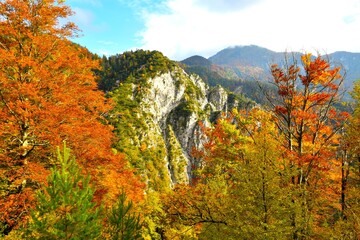 Dobrča peak and a cliff in Karavanke mountains, Gorenjska, Slovenia and beech trees with orange autumn foliage
