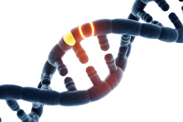 A 3D rendering of a DNA double helix, featuring glowing yellow and red sections highlighting potential damage, mutation, or active genomic regions. background removed
