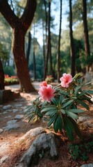 Close-up Of Pink Flowers Blooming On A Bush In A Sunlit Forest With A Stone Path And Tall Trees In The Background
