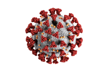 Detailed 3D rendering of SARS-CoV-2 (coronavirus) particle with prominent red spike proteins and gray viral envelope, against a solid transparent background. background removed