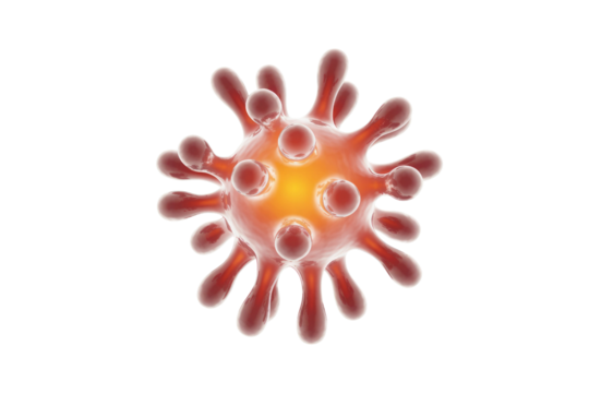 A 3D rendering of a red microscopic organism, possibly a virus, featuring spiky protrusions and a glowing core on a transparent background. background removed - Powered by Adobe
