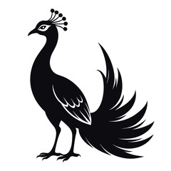 Peacock or peafowl vector silhouette on a white background. EPS & PNG file