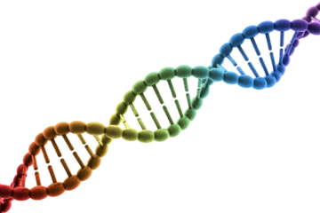 Vibrant 3D DNA double helix, rainbow gradient, on solid green. Represents genetics, heredity, molecular biology, life, and scientific research. Stunning render. background removed