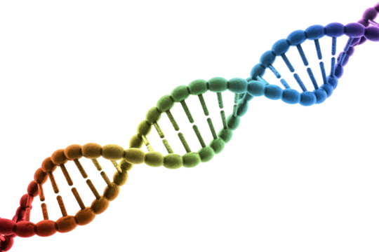 Vibrant 3D DNA double helix, rainbow gradient, on solid green. Represents genetics, heredity, molecular biology, life, and scientific research. Stunning render. background removed