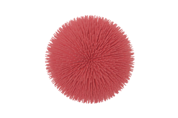 A vibrant pink, spherical object densely covered with numerous pointed bristles, resembling a spiky ball or sea urchin, isolated on a deep transparent background. background removed
