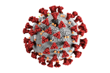 Scientific 3D rendering of a coronavirus, displaying its grey body and distinctive red spike proteins, a symbol of the pandemic. background removed