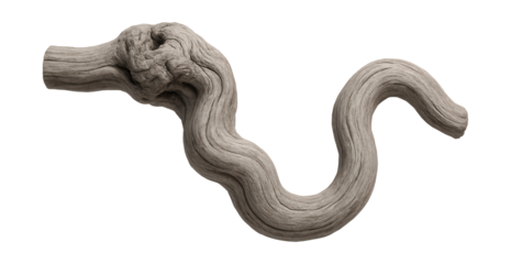 Ash-coated twisted acacia limb with a gnarled shape.