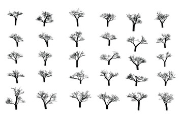 Collection of bare winter tree silhouettes on white background