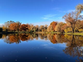 Fantastic vivid and colorful autumn trees reflection on the pure blue lake water, clear blue sky, beautiful golden fall