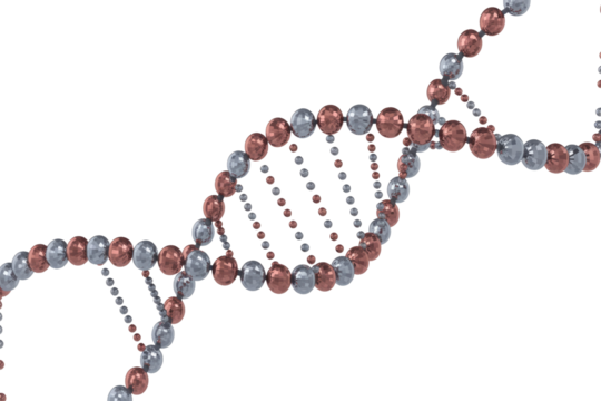 A visually striking 3D render of a DNA double helix model, featuring metallic bronze and silver spheres on a dark transparent background. Represents genetics and biology. background removed