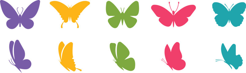 Butterfly icons set, colorful insect collection, black silhouette and outline group, flat style vector illustration, flying moth design, decorative butterfly symbol graphic element.