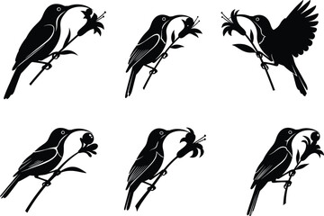 Bird silhouette perched on flowered branch, black and white vector design showing motion, nature, wildlife, artistic pose, decor, illustration