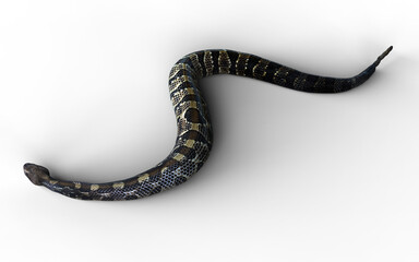 3d Illustration of A majestic Timber Rattlesnake glides in elegant S-curves, displaying its intricate scales and warning tail.