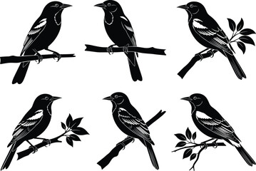 PrintBlack and white bird silhouette illustration, perched on branch, minimal style, nature art, wildlife drawing, vector design, isolated graphic