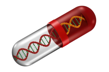 A DNA double helix strand is encapsulated within a medical pill, representing genetic engineering, gene therapy, or personalized medicine development. background removed