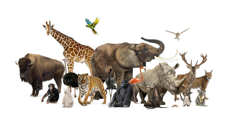 Diverse wild zoo animals including mammals, birds, and reptiles stand together in a large group...