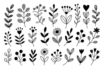 Collection of 24 Hand-Drawn Black and White Botanical and Floral Elements with Outline and Solid Styles
