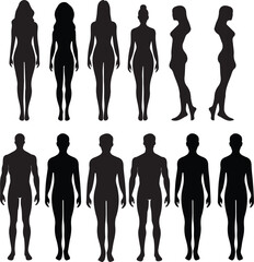 Silhouette collection of male and female body shapes in various poses. Minimalistic black vector silhouettes ideal for fashion, anatomy, fitness, or design projects.