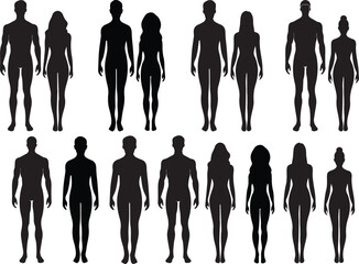 Collection of male and female human body silhouettes in standing poses on a white background — minimal vector style for anatomy, fashion, or design concepts.