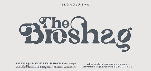 Luxury wedding alphabet letters font with tails. Typography elegant classic serif fonts and number decorative vintage retro concept for logo branding. vector illustration