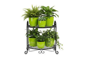 Multi-Tier Black Metal Plant Stand with Lime Green Pots and Succulents