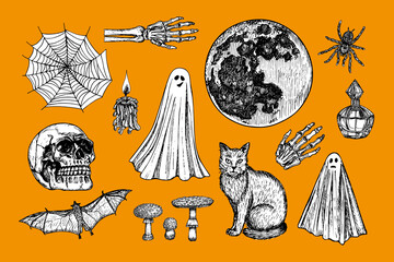 Halloween clipart illustrations for party invitation, card, poster, banner. Skull, skeleton hand, black cat, ghost, spider, bat, moon outline drawings in engraving style. Hand-drawn vector line art