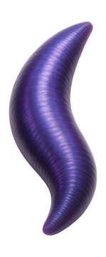 Iridescent purple leech with tapered ends.