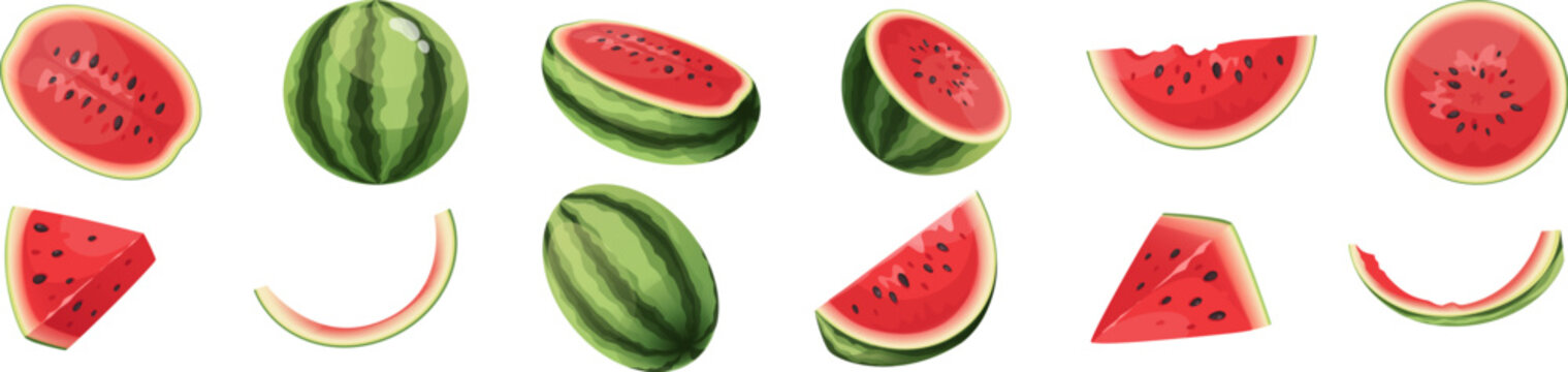 Red and green watercolor watermelon vector illustration on abstract background