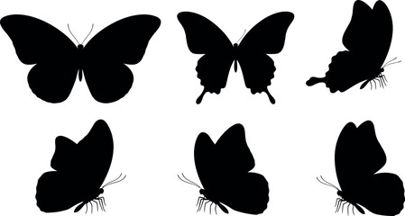 Vector Illustration of Four Diverse Butterflies in Flight, Isolated on White Background for Design