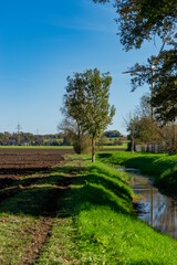 landscape with trees