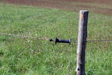 Isolateur de clôture à visser sur poteau, piquet en bois
