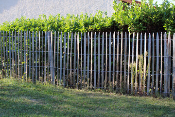 Clôture bois ganivelle noisetier, châtaigner, à planter, à dérouler, bordure pour le jardin