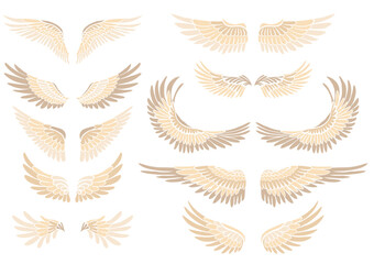 Vector clip arts set of cartoon bird wings. Collection of angel wings isolated of the background. A symbol of freedom and flight