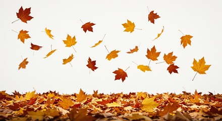 Autumn leaves falling from above onto a bed of foliage against a white sky.