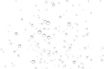 Obraz premium Numerous small clear bubbles, with light reflections scattered across a dark background, cutout, PNG isolated on white or transparent background