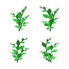 Fototapeta premium Collection of various illustrations of foliage plants