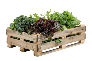 Greens in a wooden crate box on transparent background