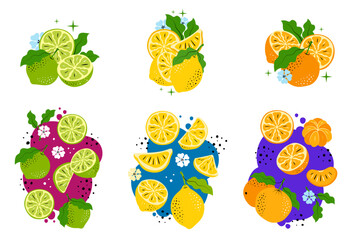 Hand-drawn Citrus Compositions Vector Set. Orange, Lemon, and Lime Fruits