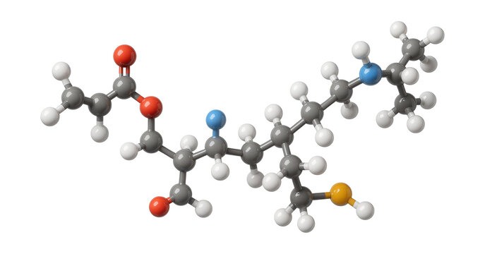 Acetyl-CoA molecule with a central acetyl group and coenzyme A component.