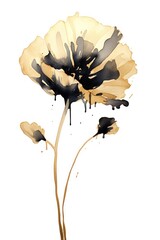 Fototapeta premium Black color poppy painting flower nature.