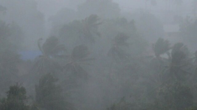 Violent storm with extreme winds and heavy rain battering a tropical landscape of palm trees during a hurricane, causing poor visibility and representing a dangerous climate catastrophe