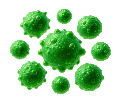 Annexin V-FITC assay detects early apoptotic cells via green fluorescence.