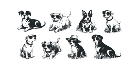 Seven dogs wearing sunglasses and hats in various poses on grass