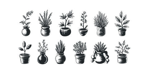 Collection of Potted Plant Illustrations in Sketch Style